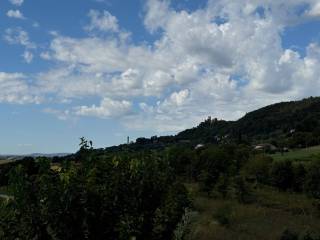 Vista
