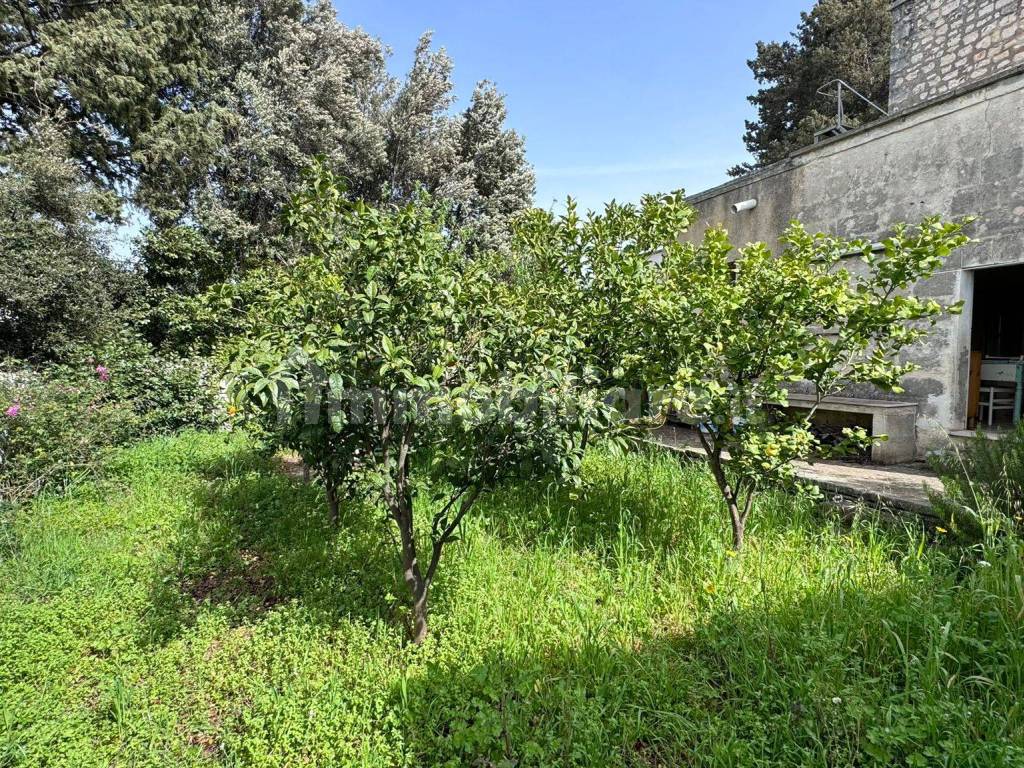 Giardino