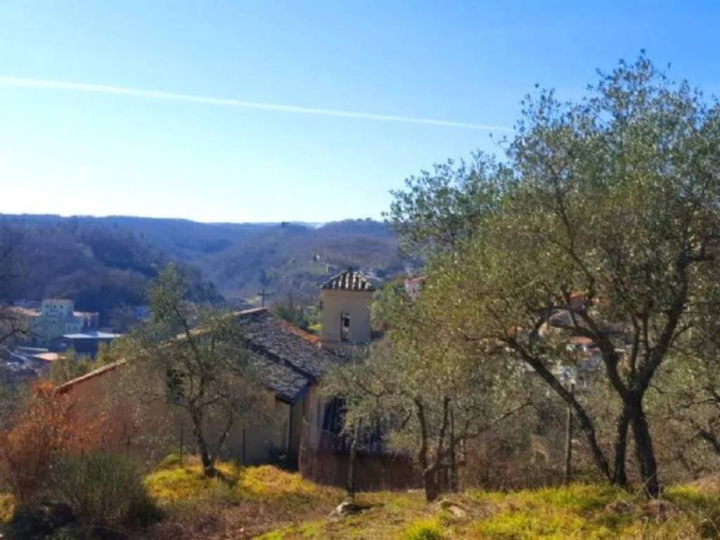 Terreno non edificabile via portapiagge san c., canepina