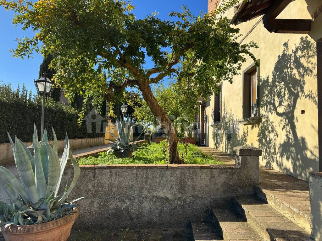 Giardino