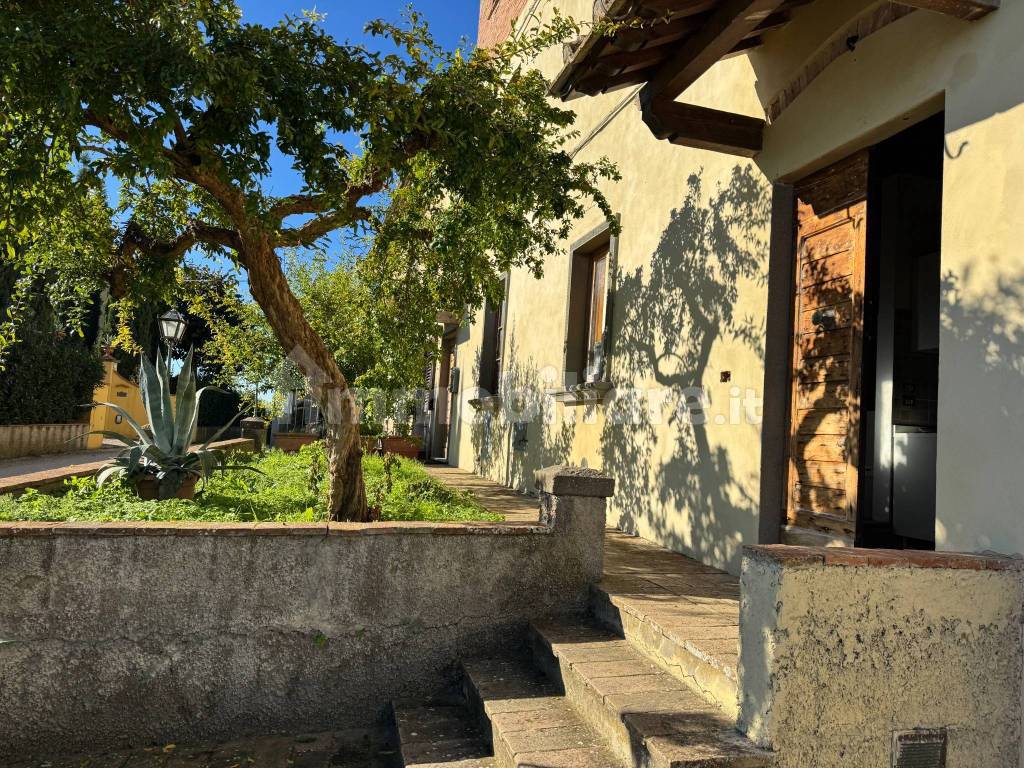 Giardino