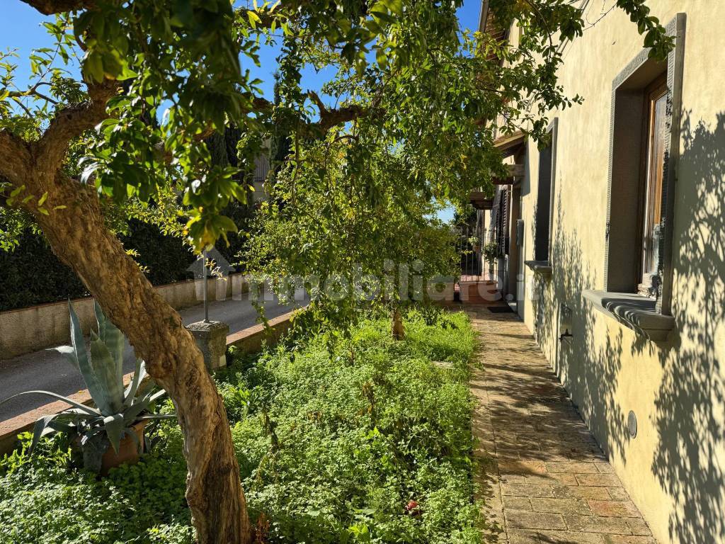 Giardino