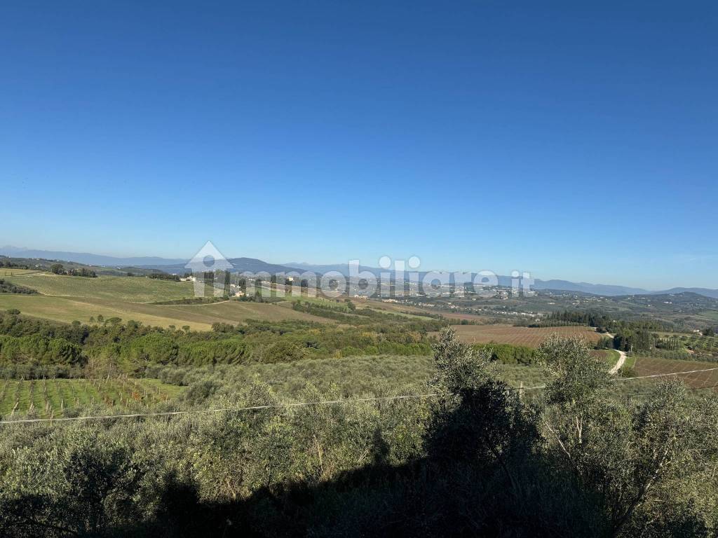 Vista