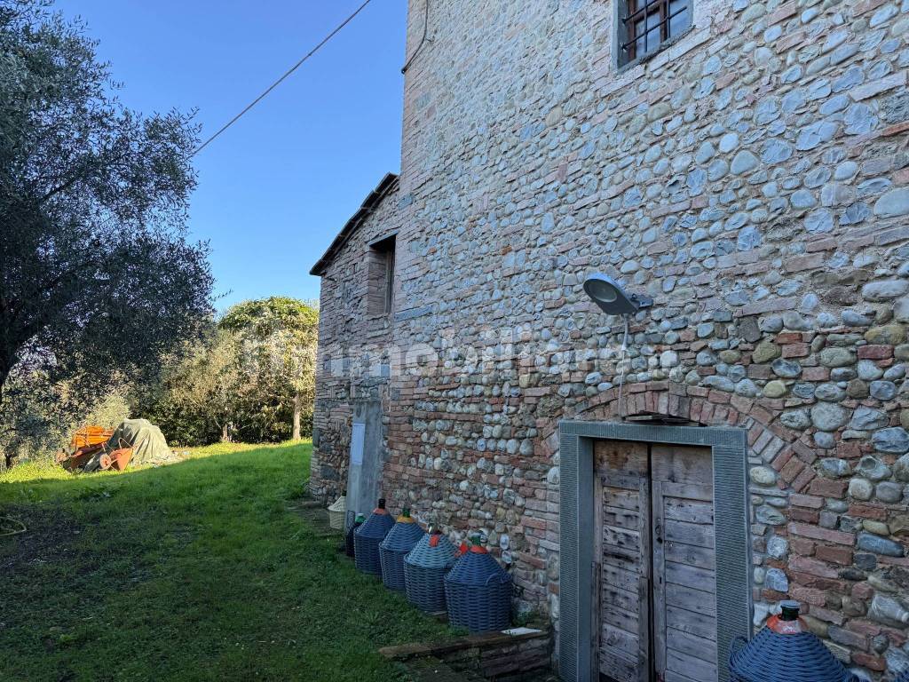 Giardino