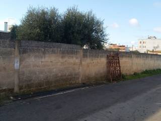 Zona