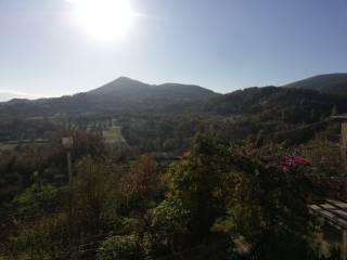 Vista