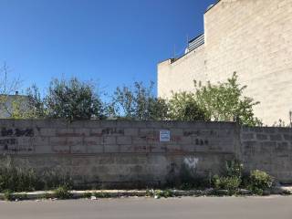 Zona