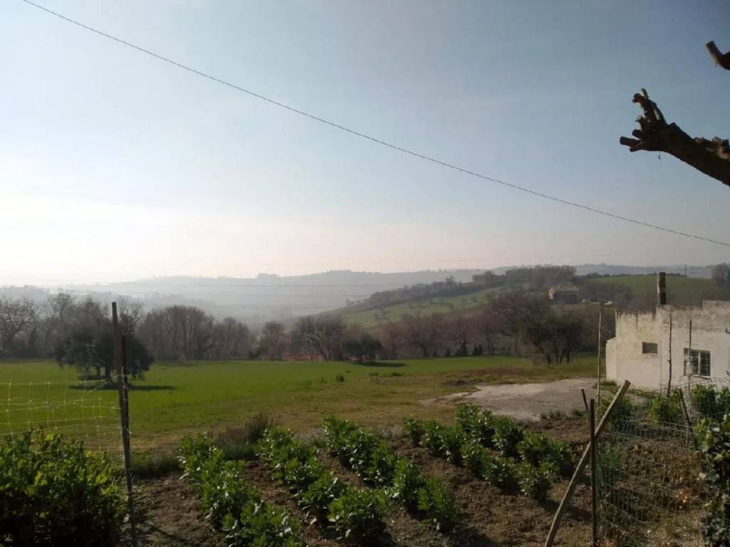 Terreno non edificabile strada comunale delle grazie, scapezzano, cannella, roncitelli, senigallia