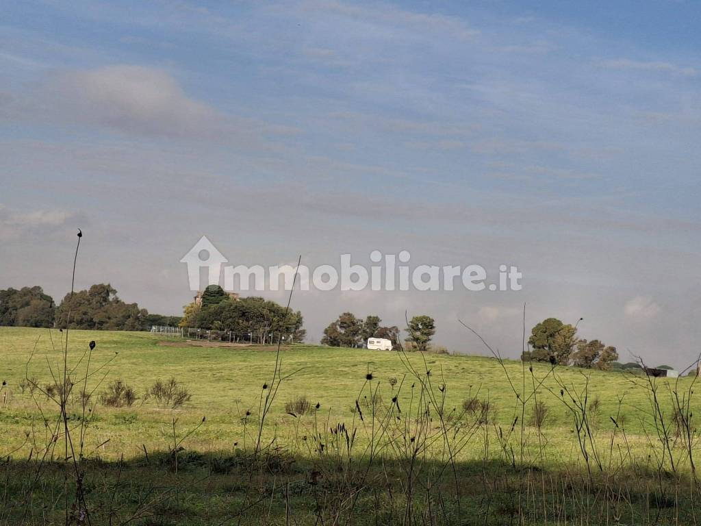 Terreno