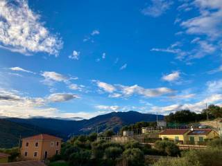 Vista