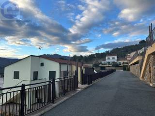 Zona
