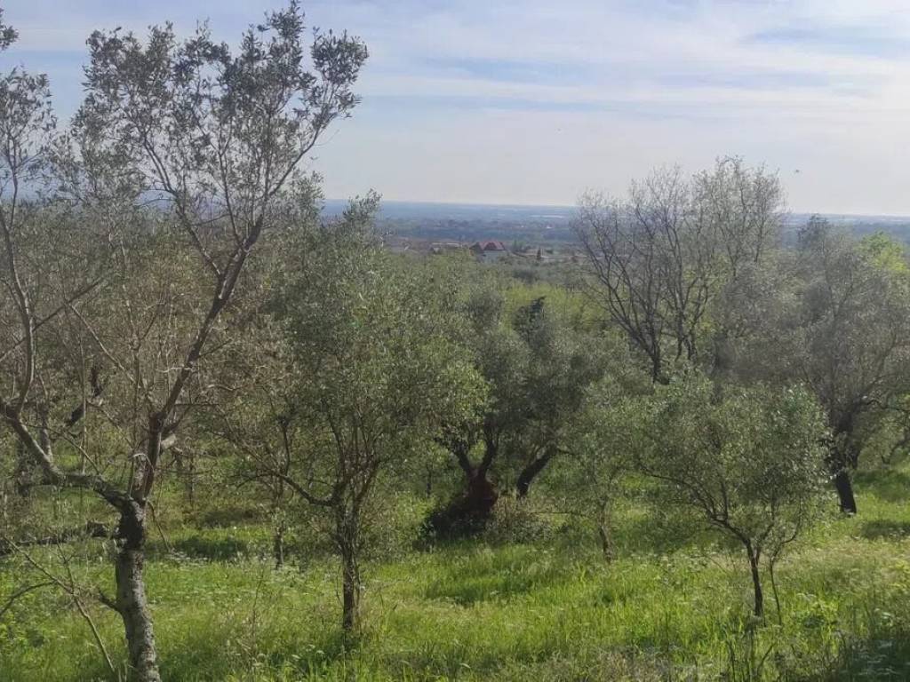 Terreno non edificabile salita romandola, campagna