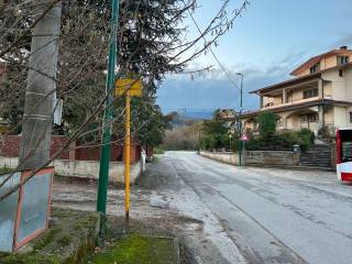 Zona