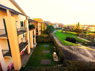 Zona