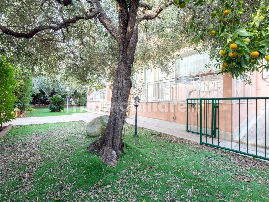 Giardino