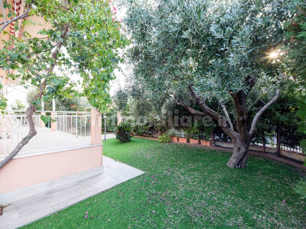 Giardino
