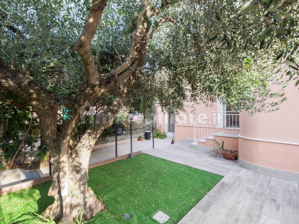 Giardino