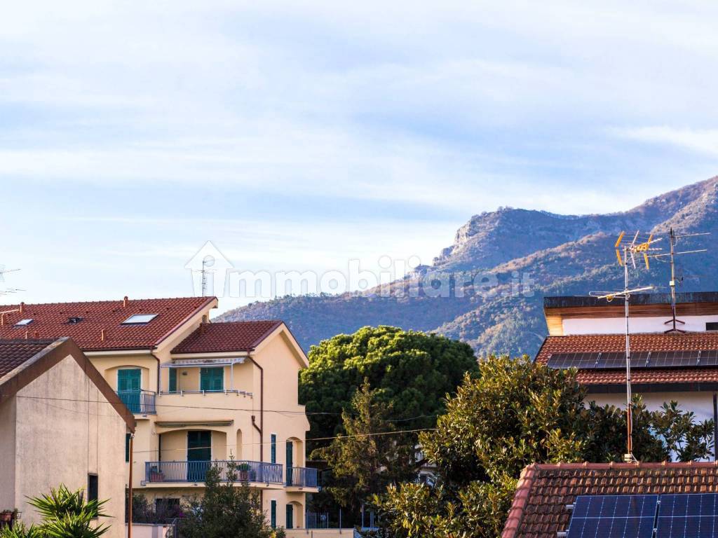 Vista