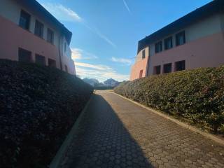 Zona