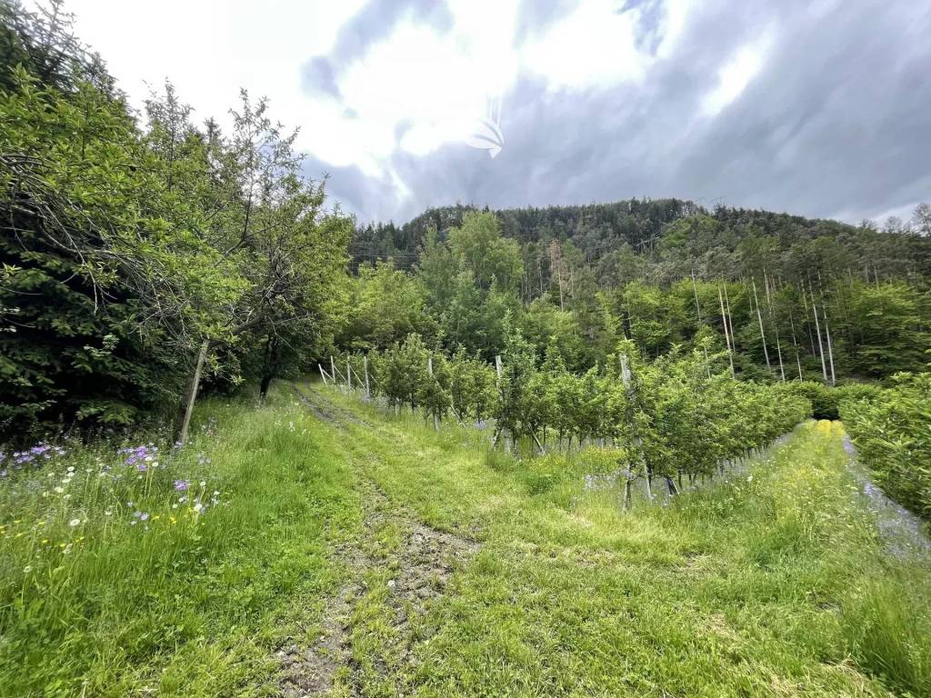 Terreno agricolo strada klabers, sarnes, bressanone