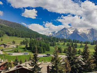 Vista