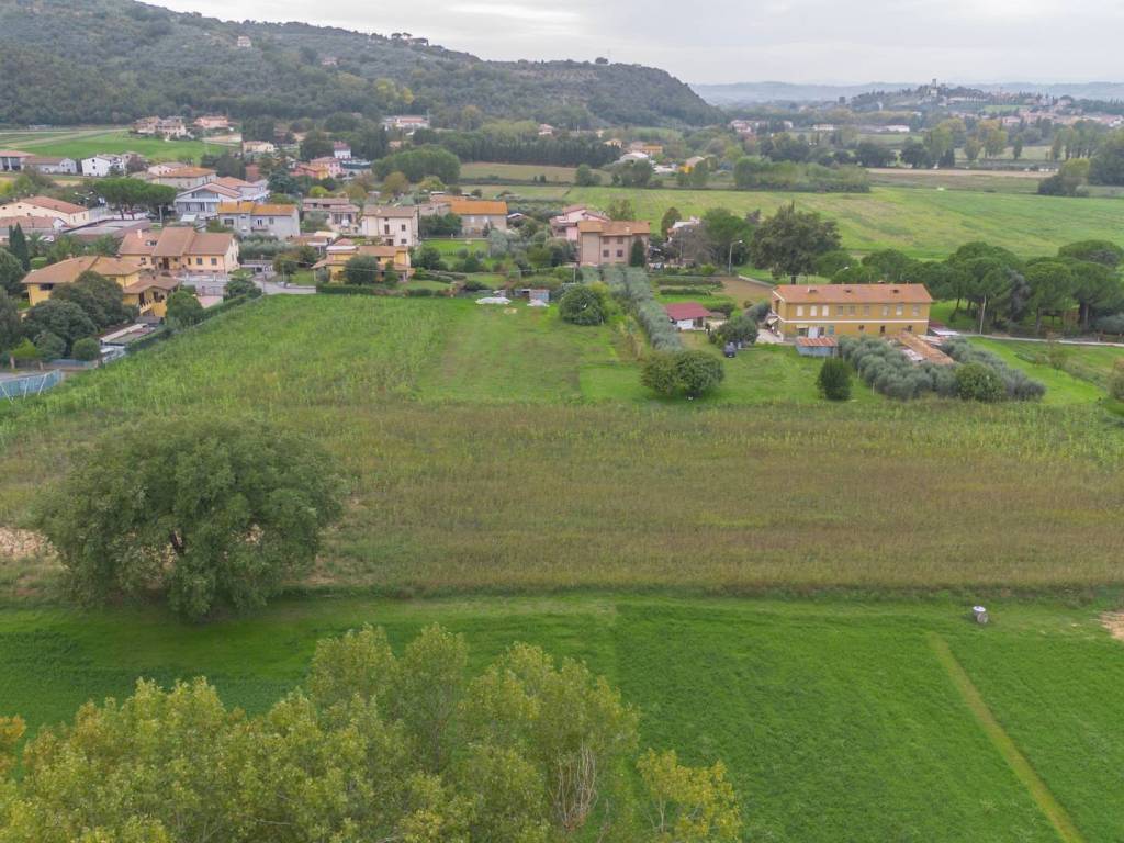 Terreno edificabile località signoria, signoria, torgiano