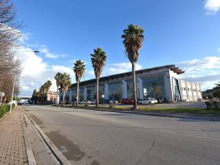 Zona