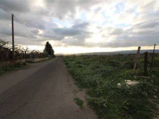 Zona