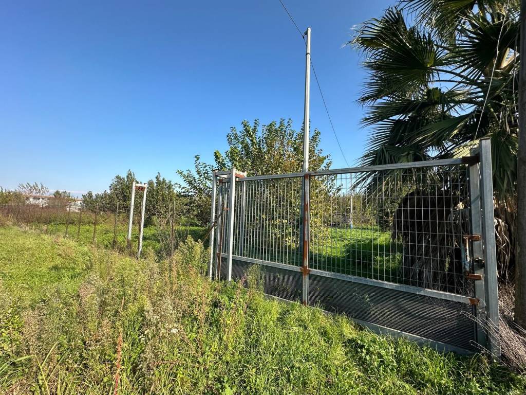 Terreno agricolo via orta longa, angri