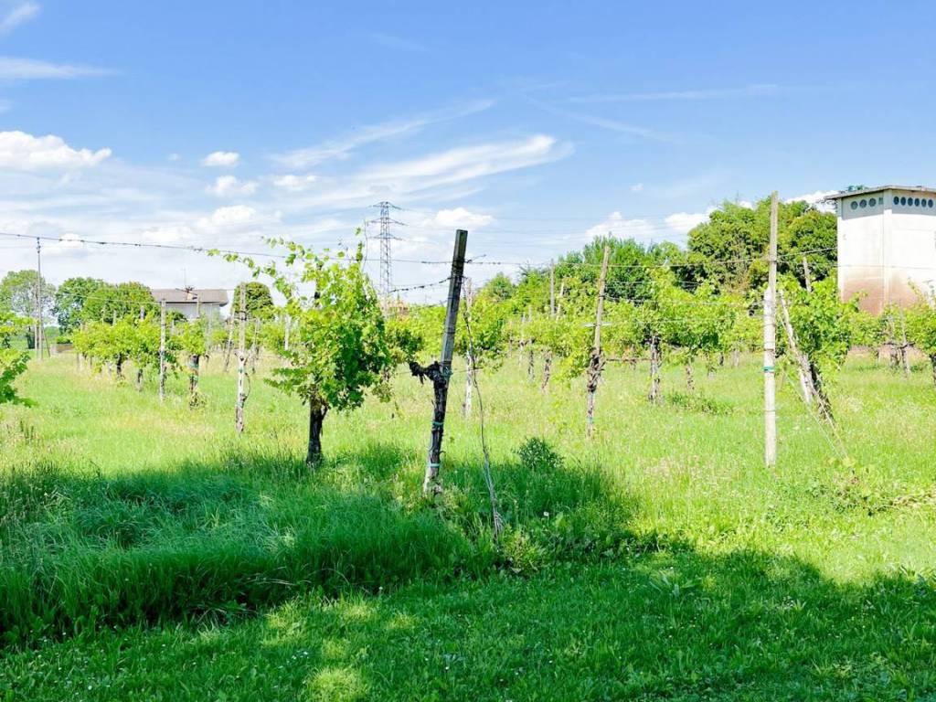 Terreno non edificabile via pralongo 127, fornaci, monastier di treviso