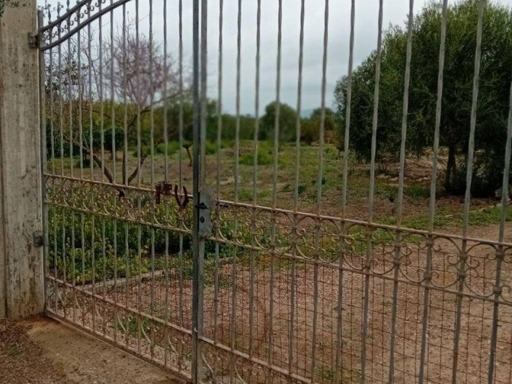 Terreno agricolo baratili san pietro, baratili san pietro