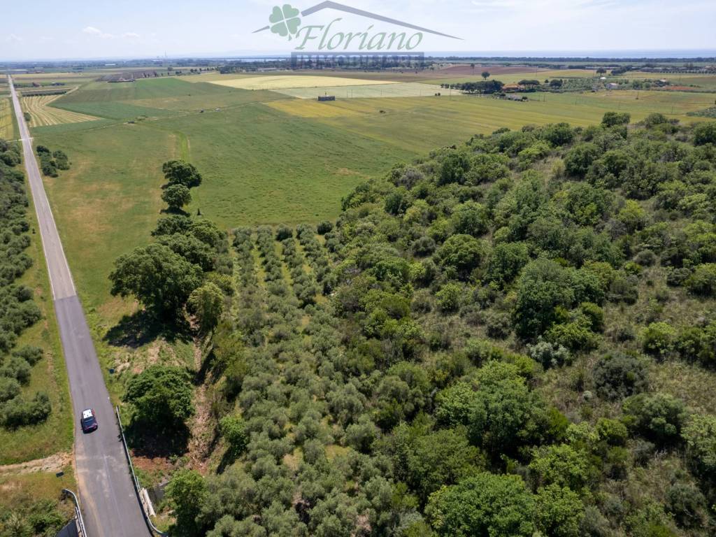 Terreno agricolo strada pedemontana, capalbio