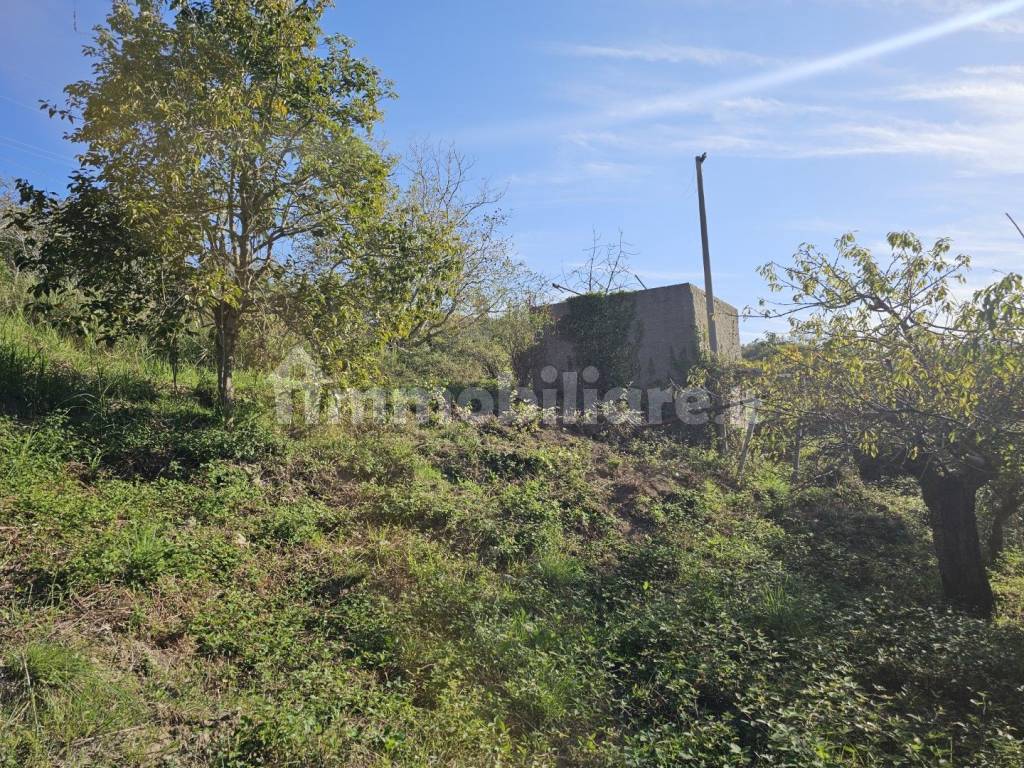 Terreno Agricolo Contrada Tarantonio Messina Rif