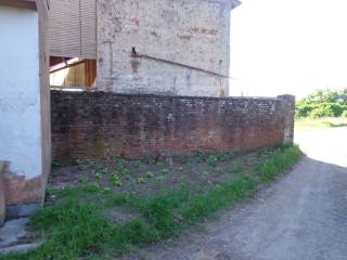 Zona