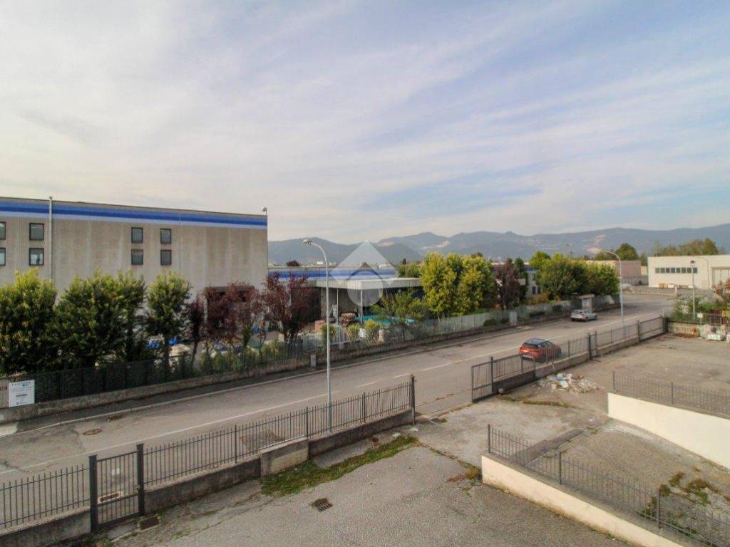 Vista