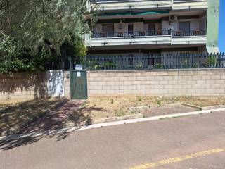 Zona