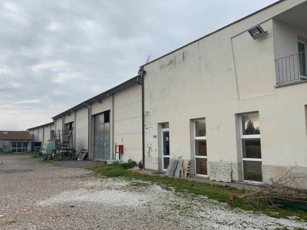 Capannone via toniolo,   192, colignola, campo, san giuliano terme