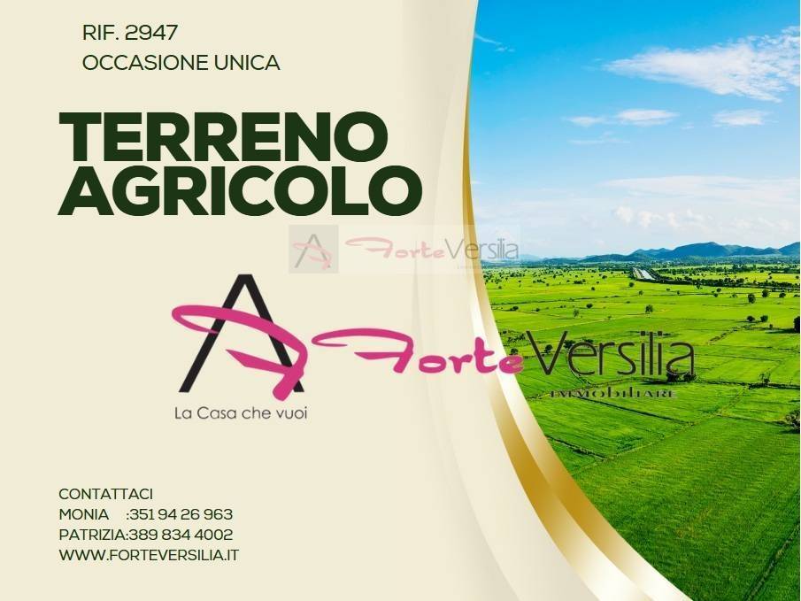 Terreno agricolo via lucca, ronchi - poveromo, massa