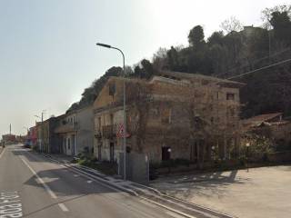 Zona
