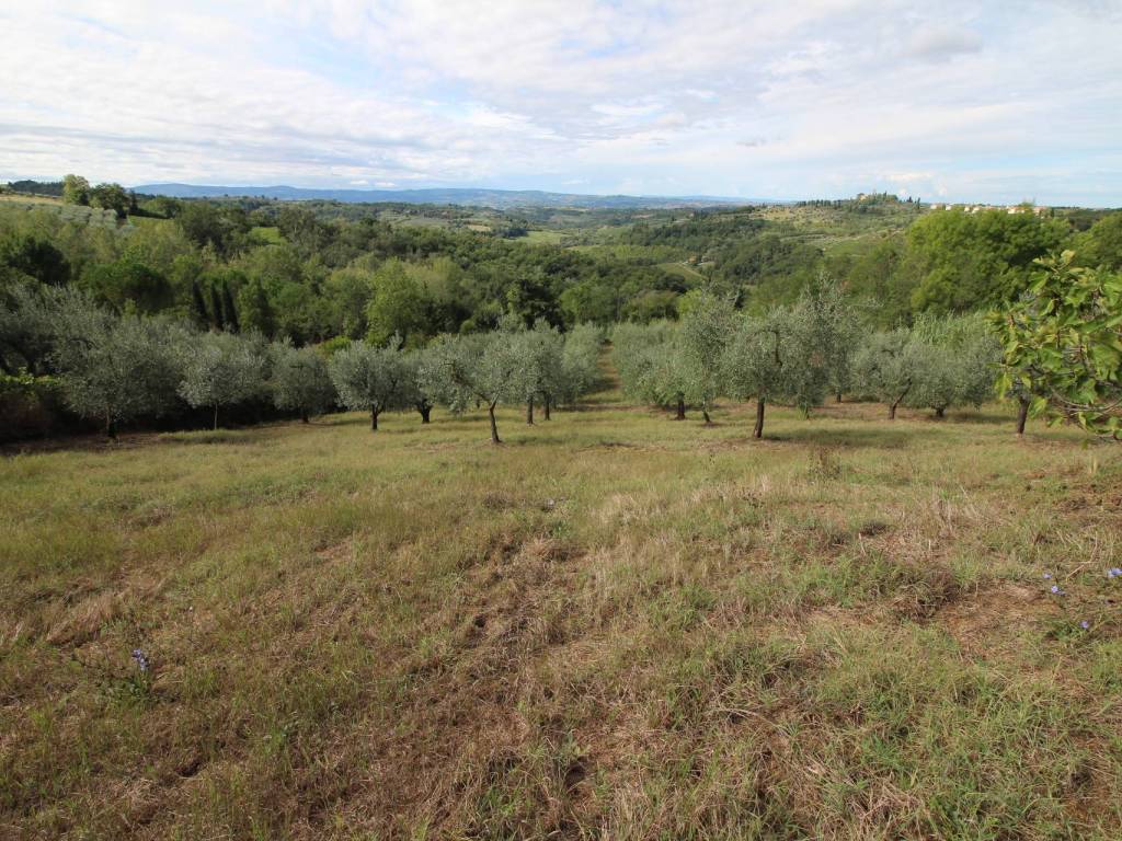 Terreno agricolo via lucardese, montespertoli