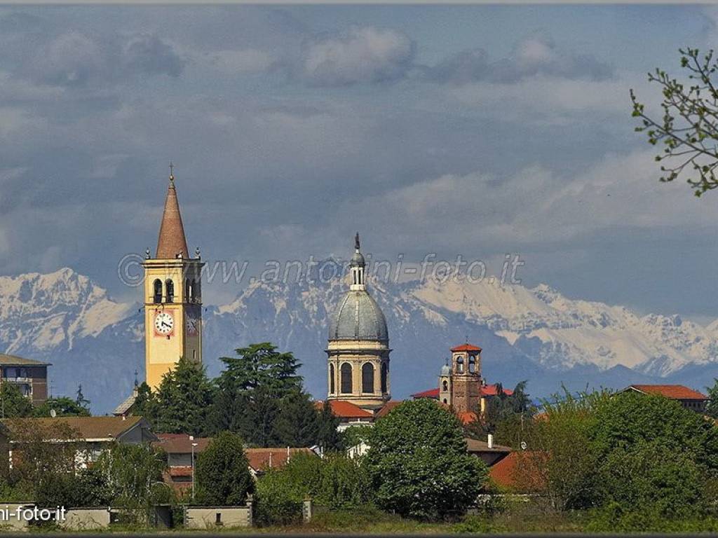 Stanza singola via vincenzo monti, trecate