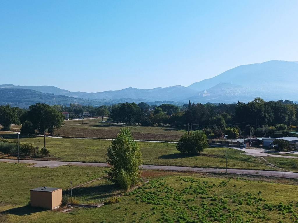 Vista