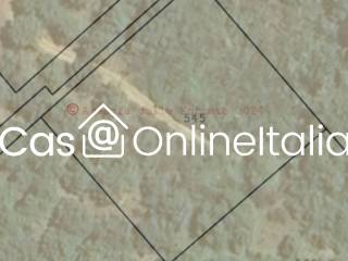 Altro