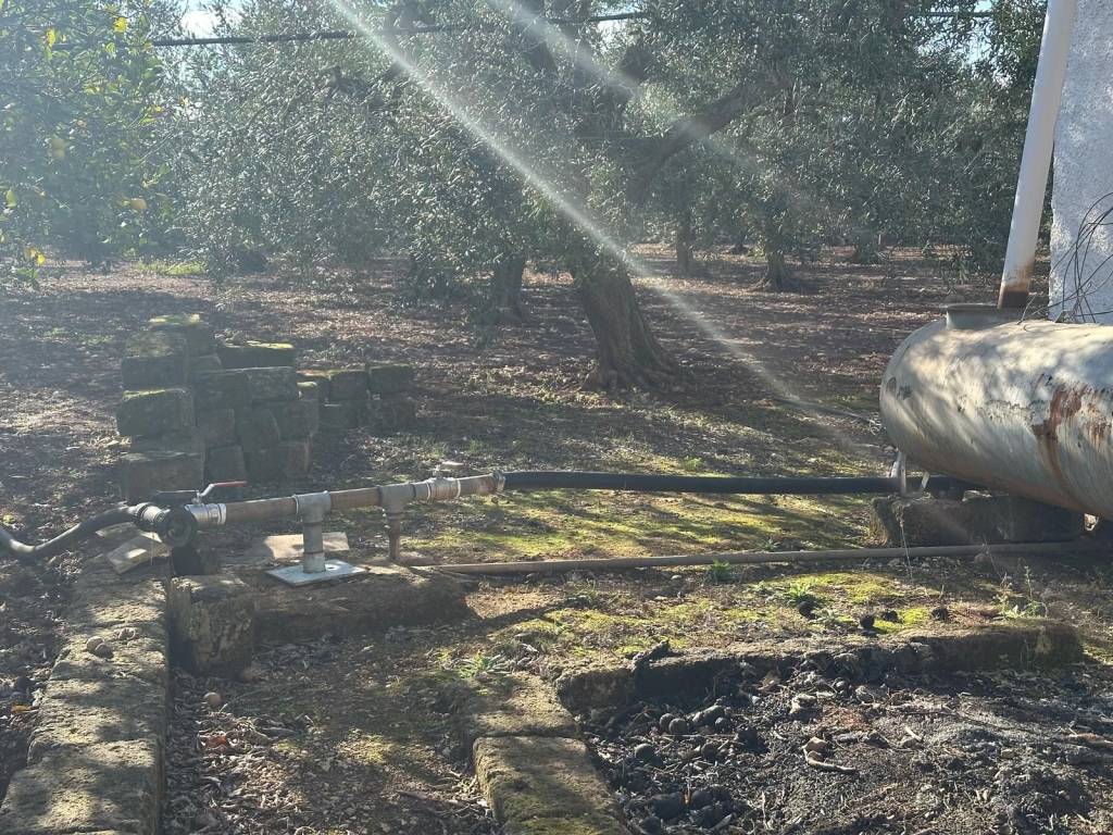 Terreno agricolo contrada balsignano, modugno