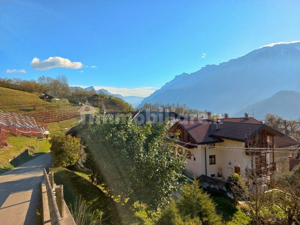 Vista