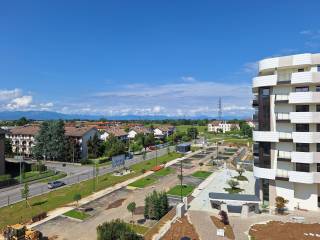 Vista