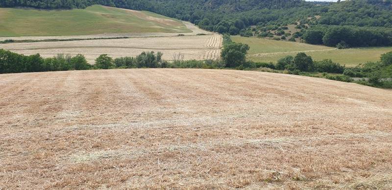 Terreno agricolo, tuscania