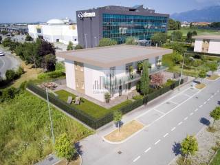 Vista