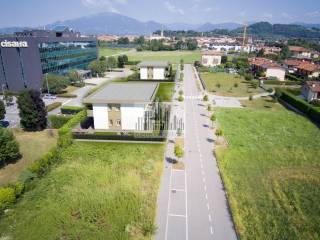 Vista