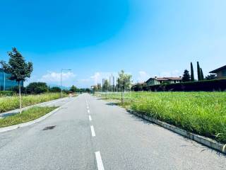 Zona